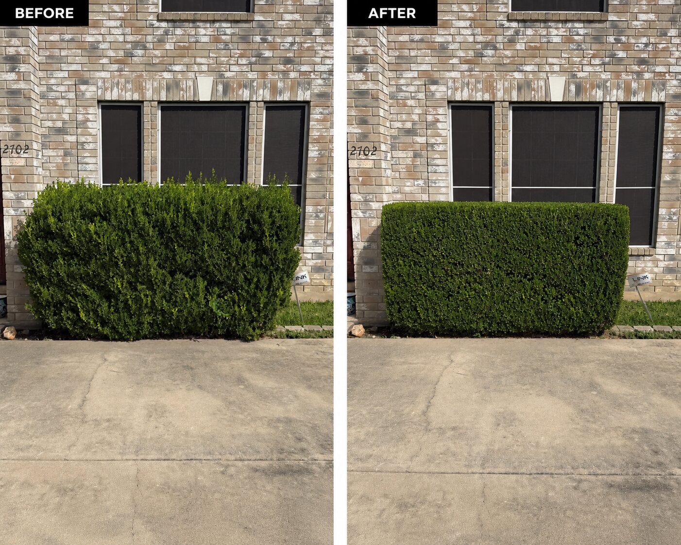 Before and after comparison of an overgrown hedge trimmed into a clean rectangular shape