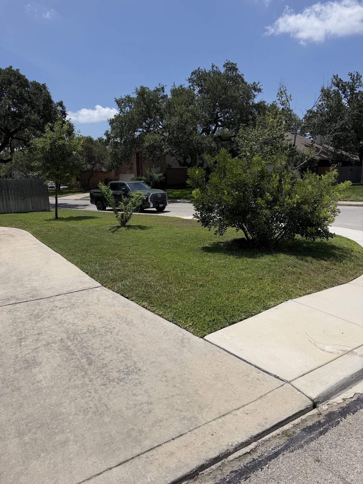 Finished residential lawn with a clean, even cut