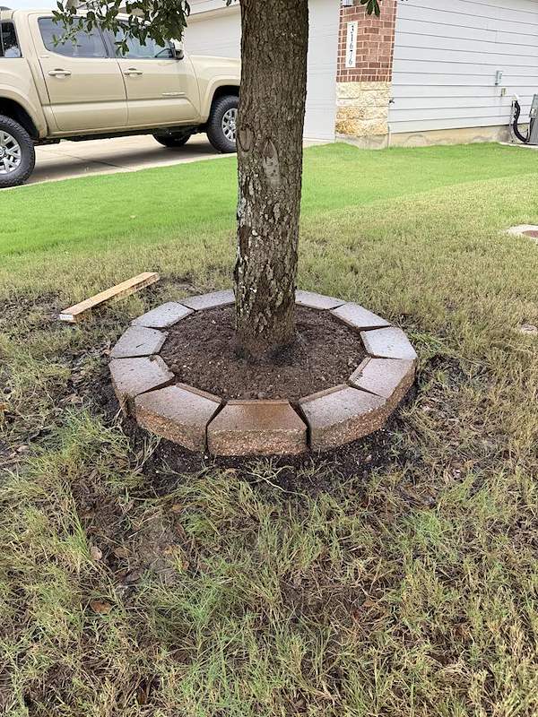 Tree ring after cleanup with a restored border and freshly cleared soil